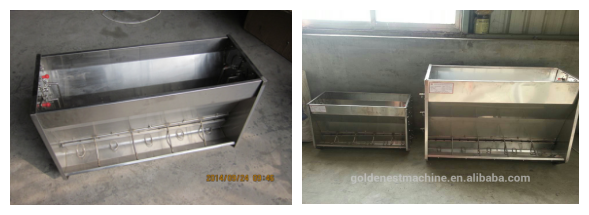Sow feed trough staineless steel durable