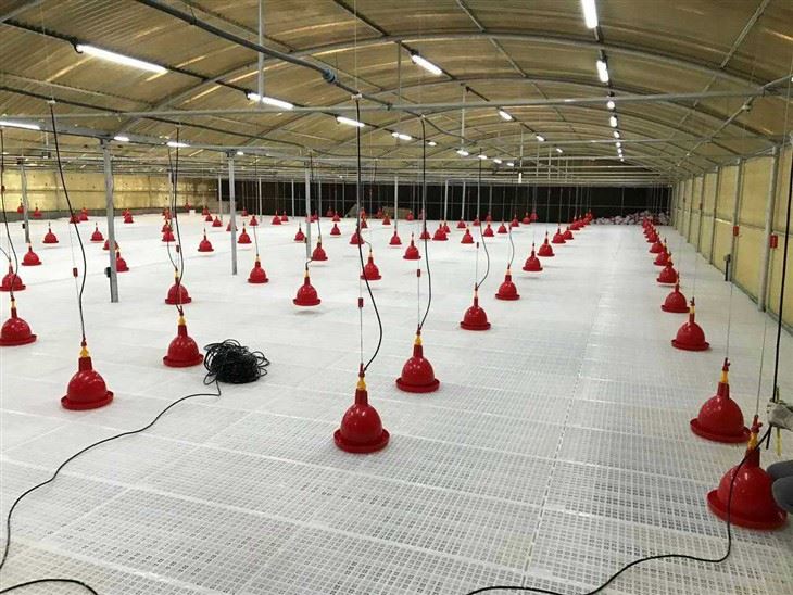Hochfester Geflügel-Kunststoffboden mit Lattenrost und Leckageboden für Hühner-Enten-Gans-Farm