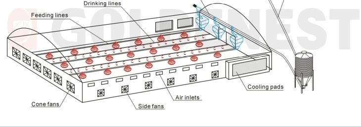 Automatisches, komplettes Geflügelstall-Fütterungsgerät, Broiler-Futterleitungssystem