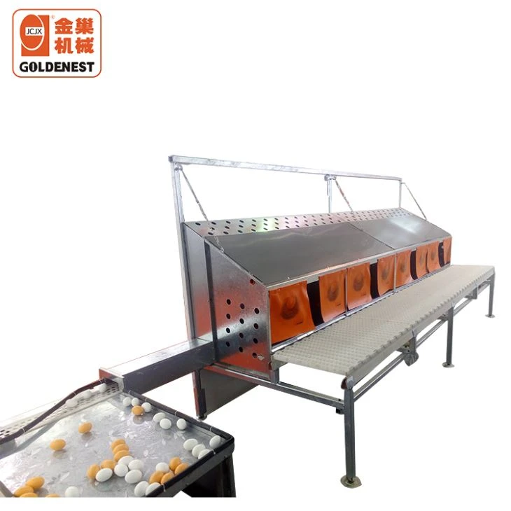 Layer Egg Nest Automatic Collection Equipment