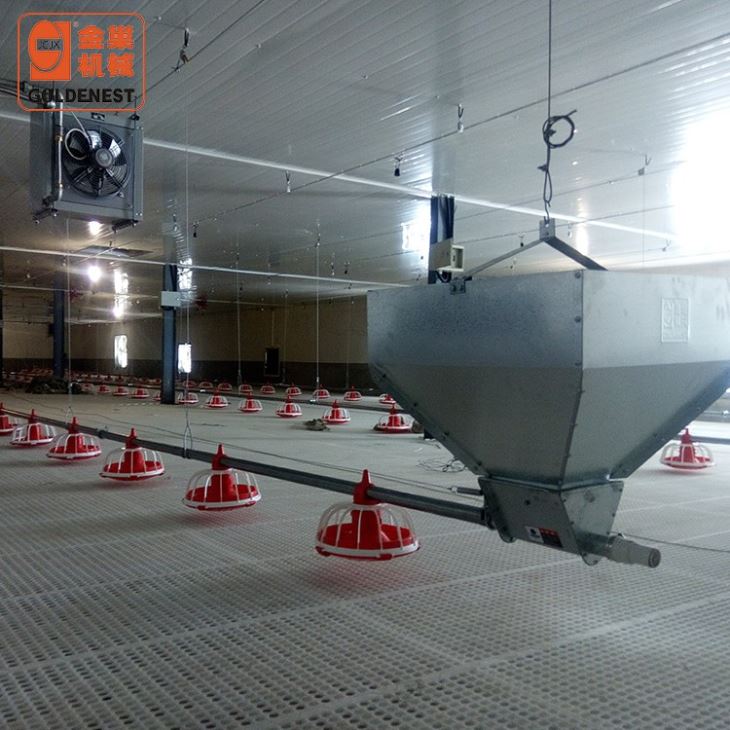 Broiler Chicken Auto Feeder Line für Geflügelfarmen
