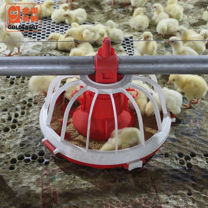 Automatic Poultry Equipment Complete Feeding & Nipple Drinking Line System For Commercial Broiler House Automatic Poultry Equipment Complete Feeding & Nipple Drinking Line System For Commercial Broiler House